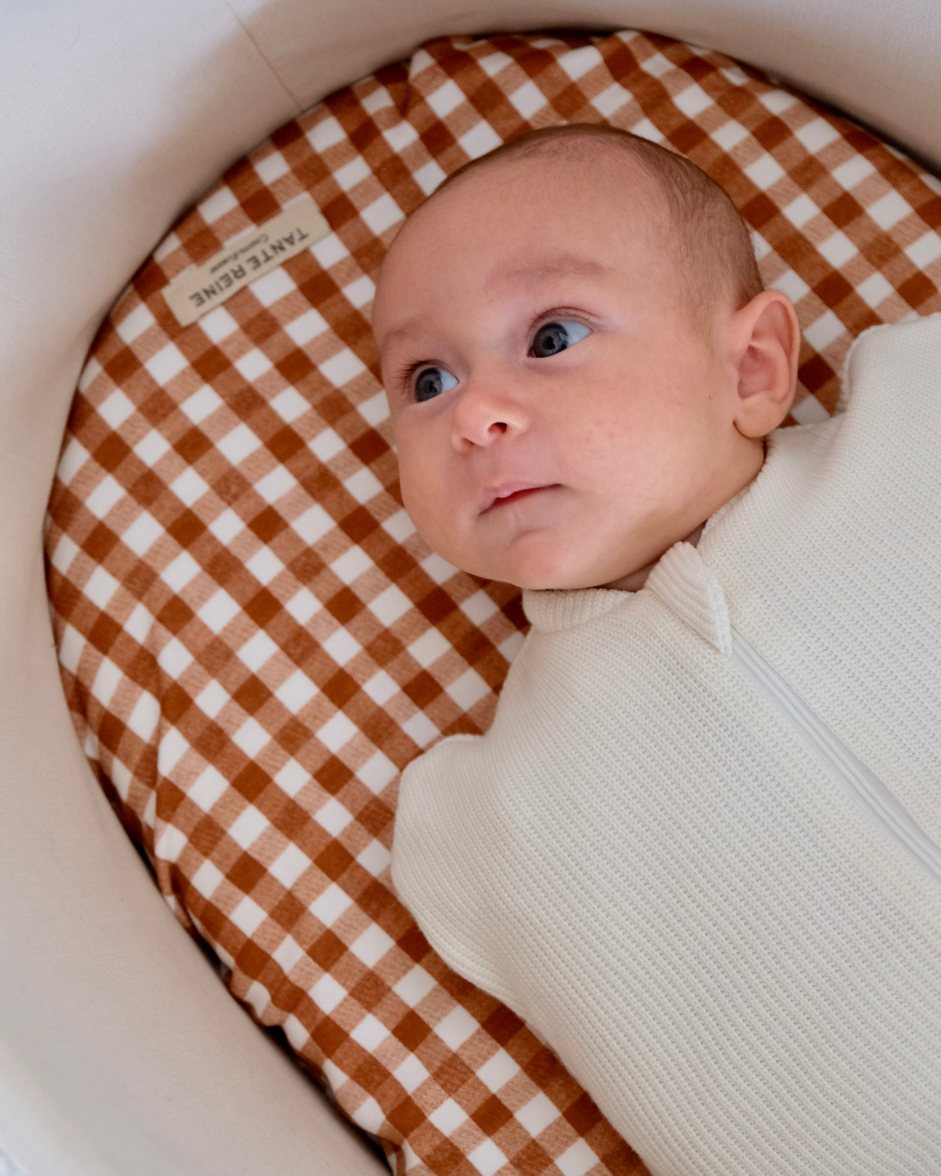 petit bébé dans son emmailloteuse qui regarde vers le haut