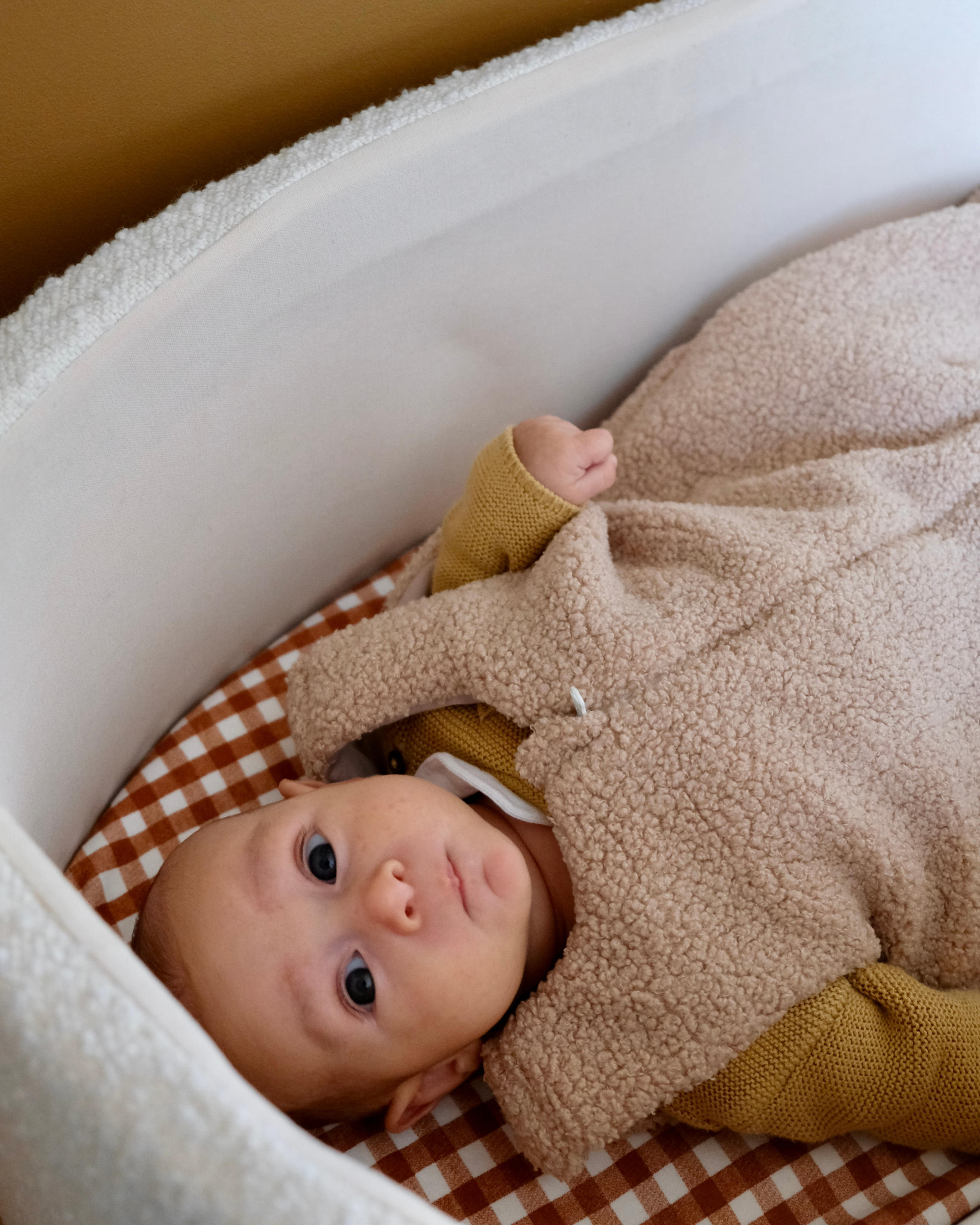 LES GIGOTEUSES HIVER